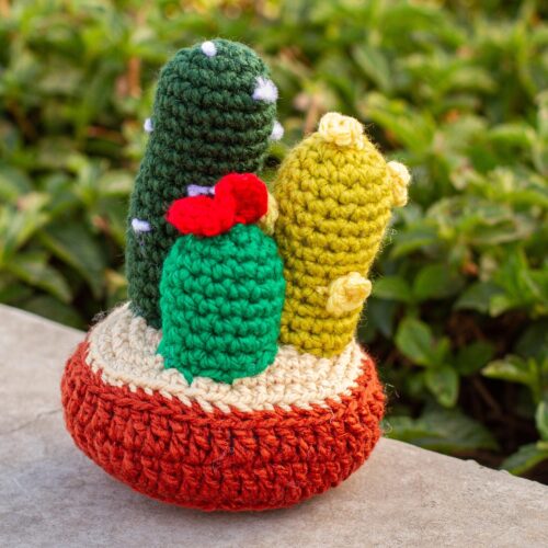 Hand Crocheted Cactus Decor Accent, 'Desert Flora' Hand Crocheted Cactus Decor Accent, 'Desert Flora'