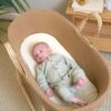 Clair De Lune Organic Moses Basket